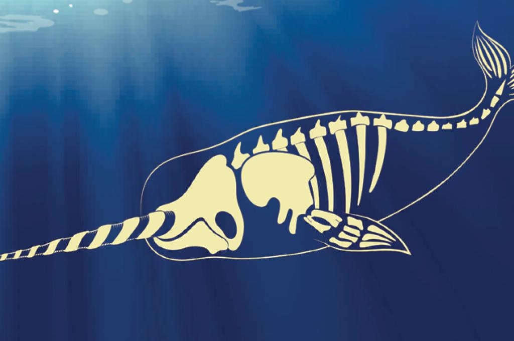 Image of a marine creature's skeleton overlayed on an underwater background.