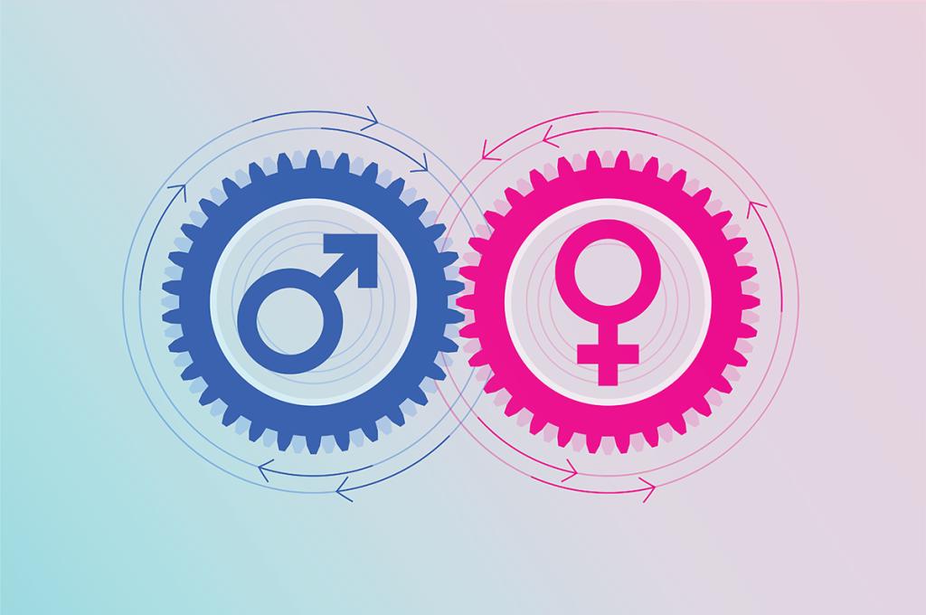 A graphic of a blue gear containing the male symbol and a pink gear containing the female symbol.