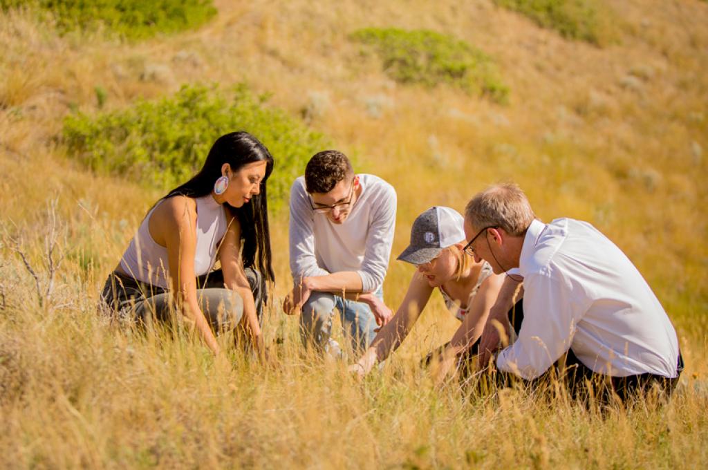 Four people crouch on a yellow grass-covered hill looking down toward a specimen
