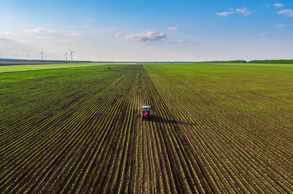 An aerial view of an agricultural field.