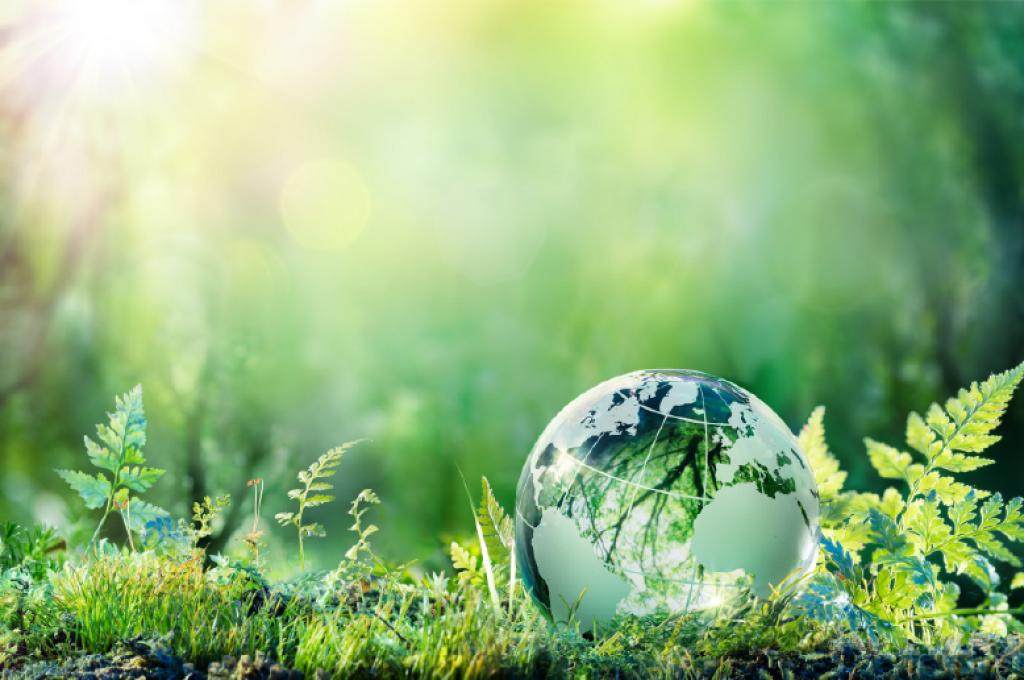 Un globe terrestre en cristal repose sur un tapis d’herbe et de fougères
