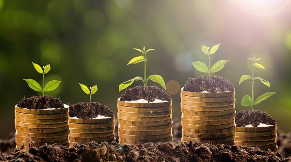 A stock photo of five stacks of gold coins in the dirt, each a different height, with small plants growing on the top of each stack.